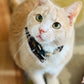 The Molly XL Fat Cat Scrunchie