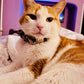 The Meeka XL Fat Cat Scrunchie